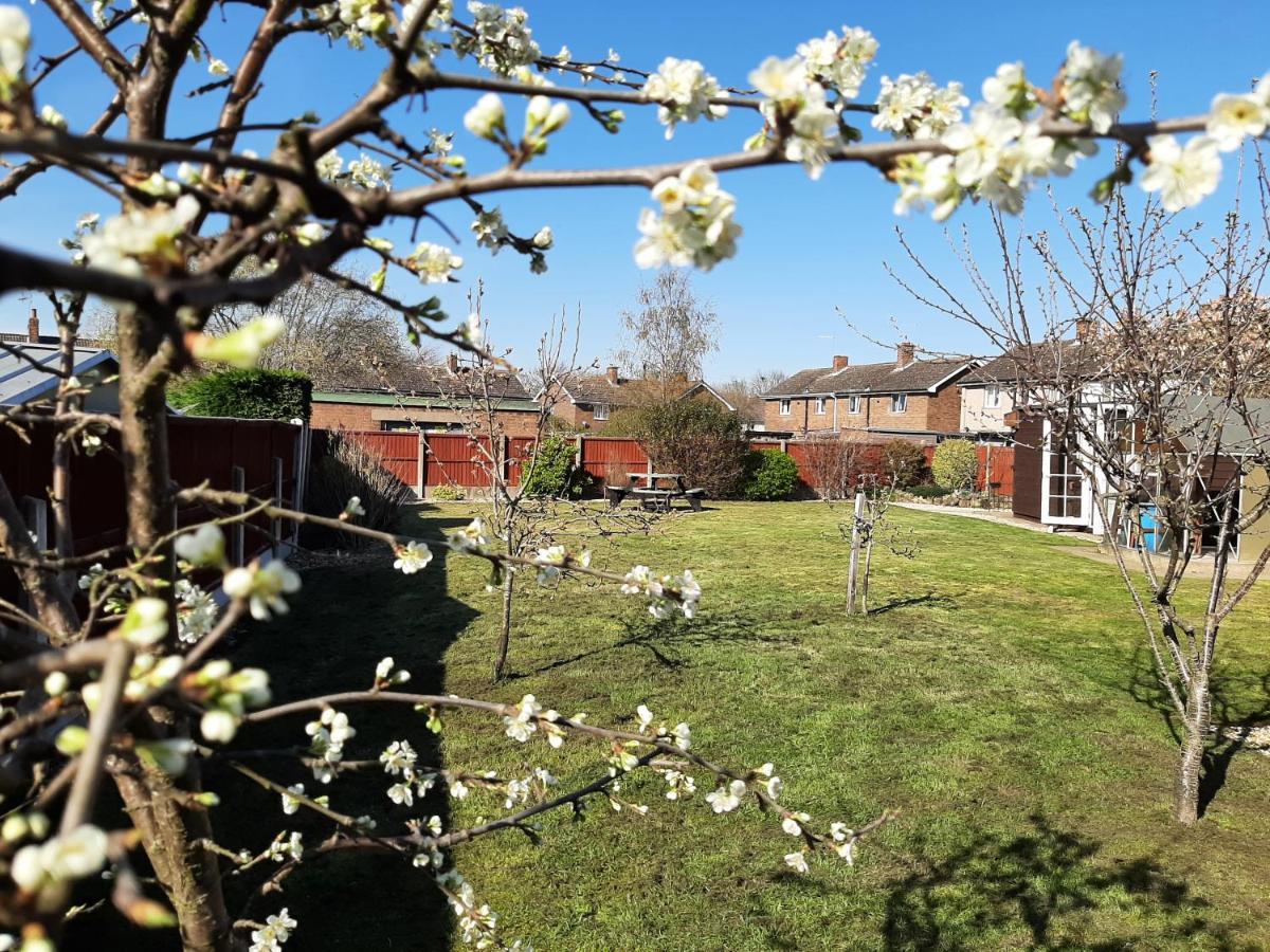 Willa Huge Garden House For Contractors And Families Ollerton Zewnętrze zdjęcie